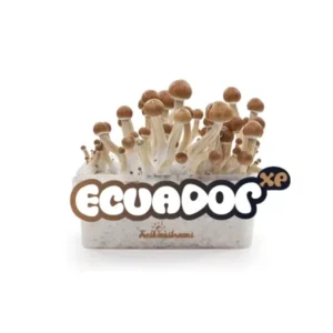 Home ecuador mushroom grow kit
